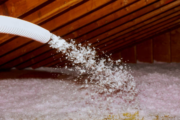 Best Insulation Maintenance and Repair in Springdale, SC