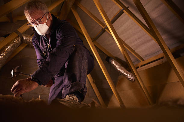 Best Insulation for Specific Applications in Springdale, SC